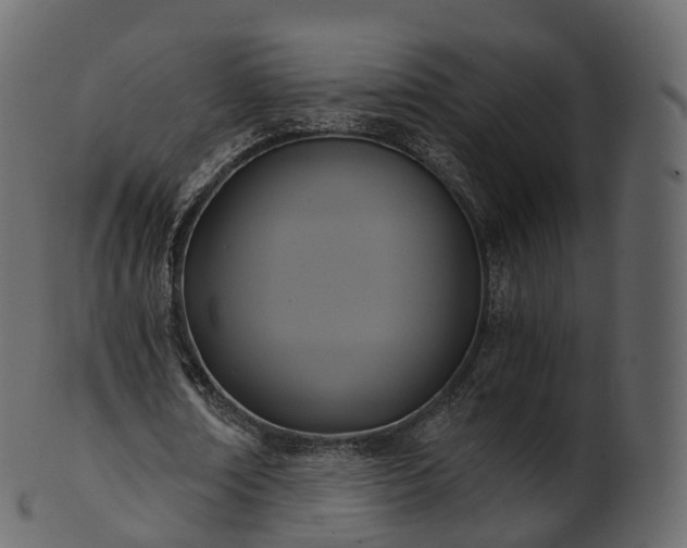 X0000101120674200807031804