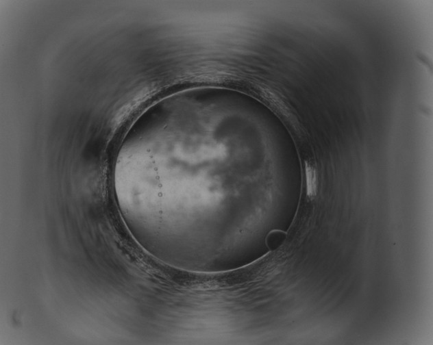 X0000101120675200807031804