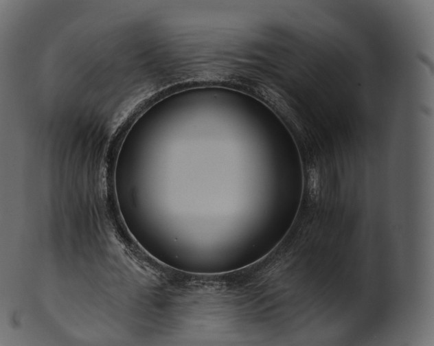 X0000101120676200807031804