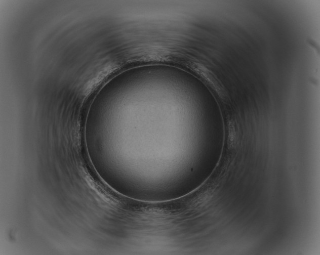 X0000101120677200807031804