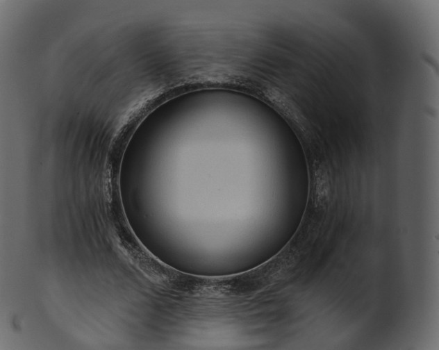 X0000101120680200807031804