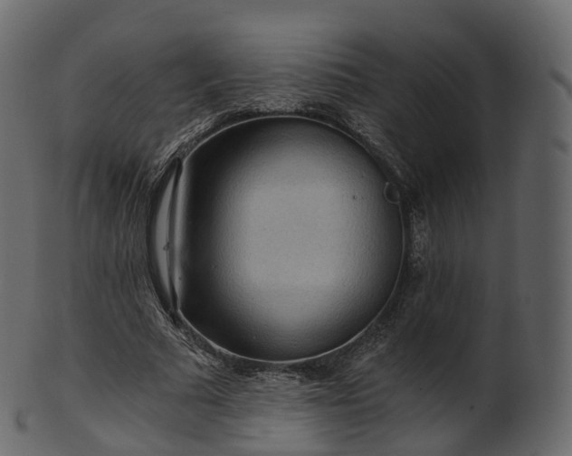 X0000101120681200807031804