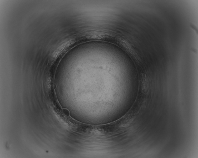 X0000101120683200807031804
