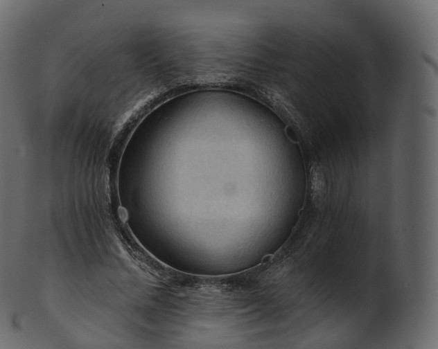 X0000101120684200807031804