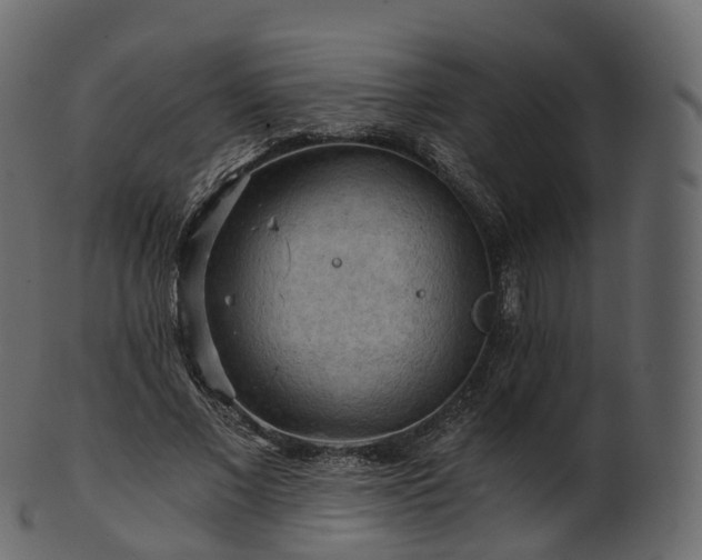X0000101120685200807031804