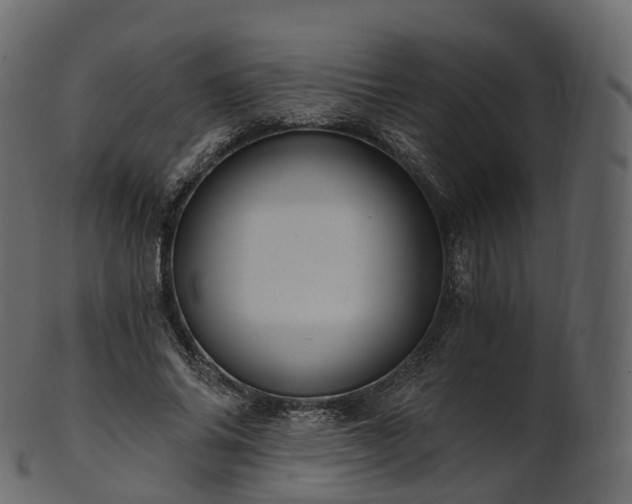 X0000101120686200807031804