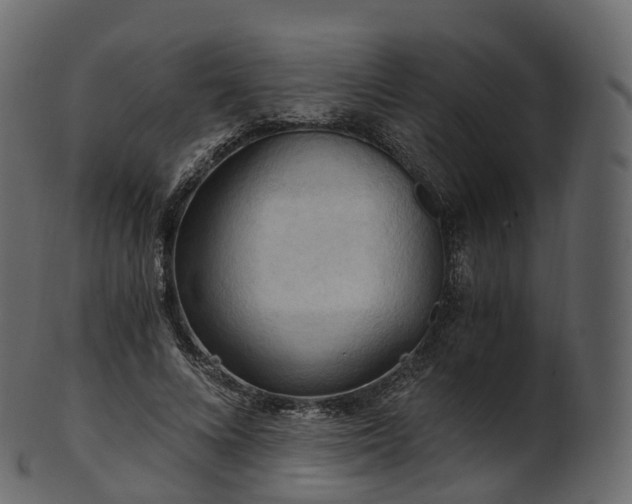 X0000101120688200807031804