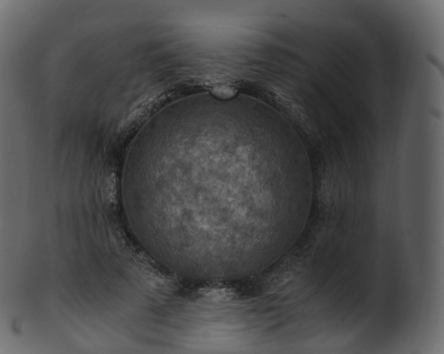 X0000101120689200807031804