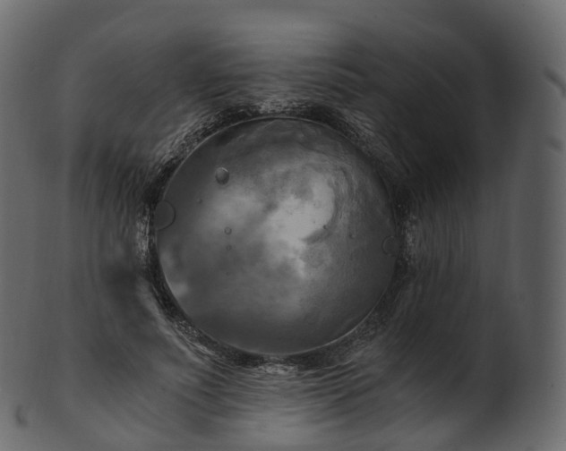 X0000101120691200807031804