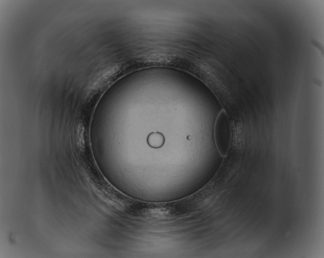X0000101120692200807031804