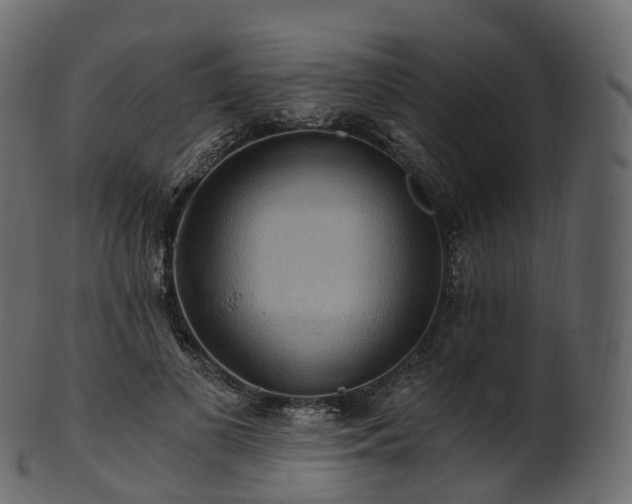 X0000101120693200807031804