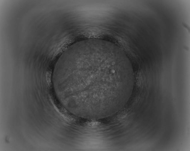 X0000101120695200807031804