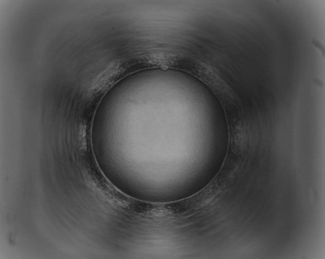 X0000101120696200807031804