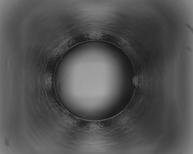 X0000101120697200807031804