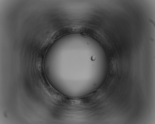 X0000101120698200807031804