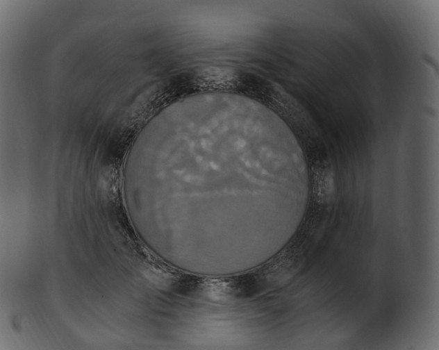 X0000101120701200807031804
