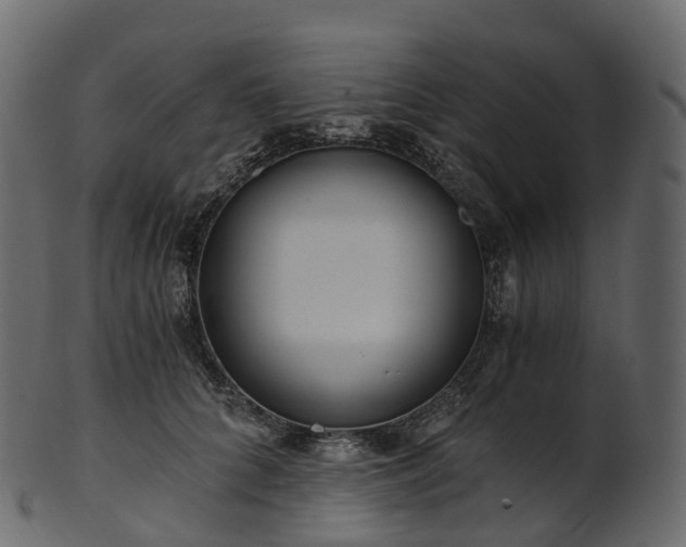 X0000101120704200807031804