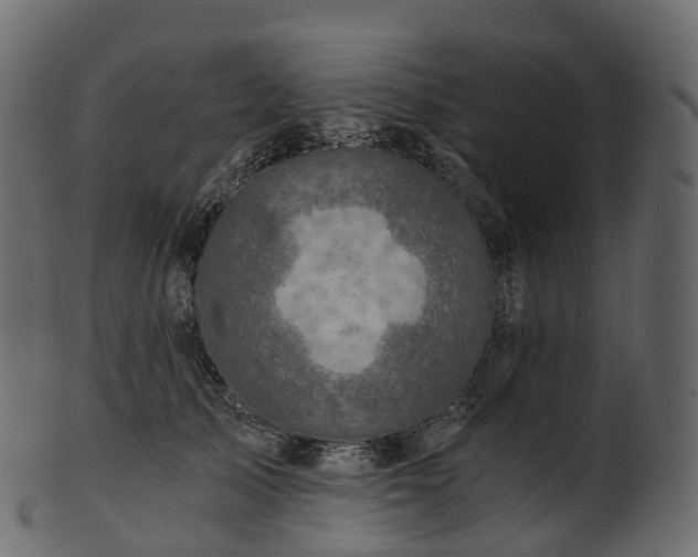 X0000101120705200807031804
