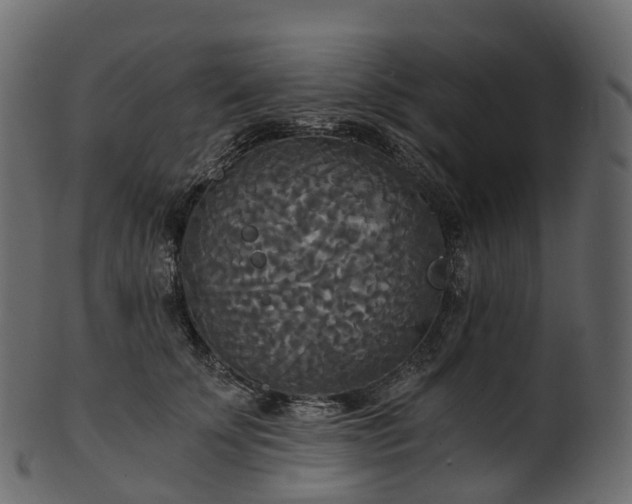 X0000101120707200807031804