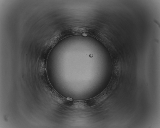 X0000101120708200807031804