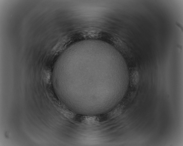 X0000101120709200807031804