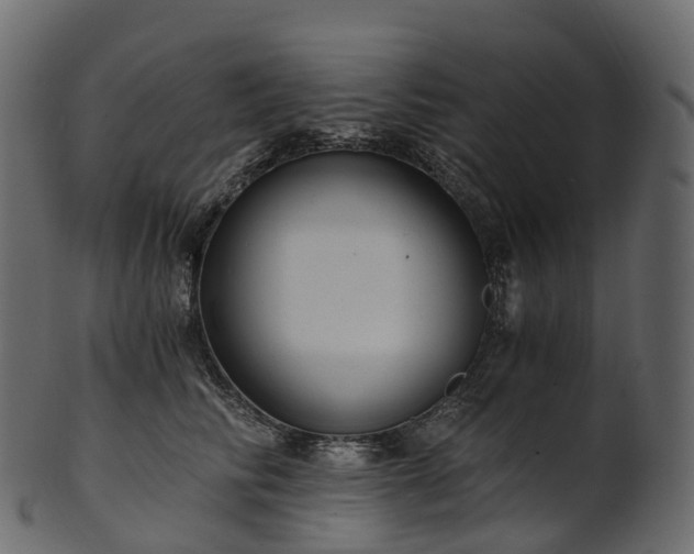 X0000101120710200807031804