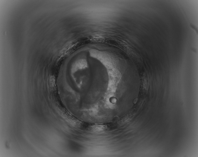 X0000101120711200807031804