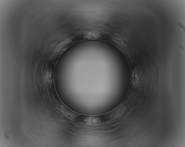 X0000101120714200807031804