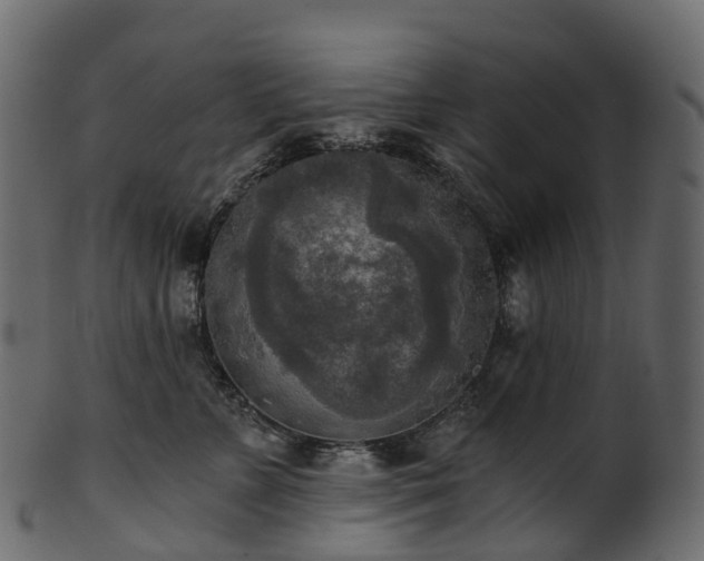 X0000101120715200807031803