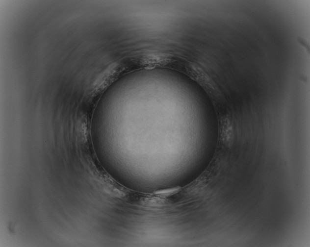 X0000101120716200807031803
