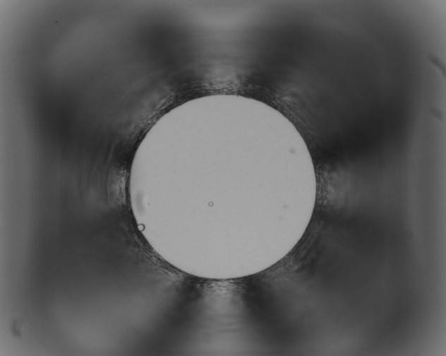 X0000101120717200807031803