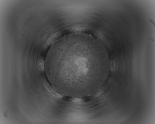X0000101120718200807031803