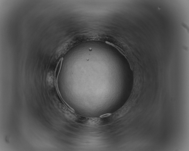X0000101120720200807031803