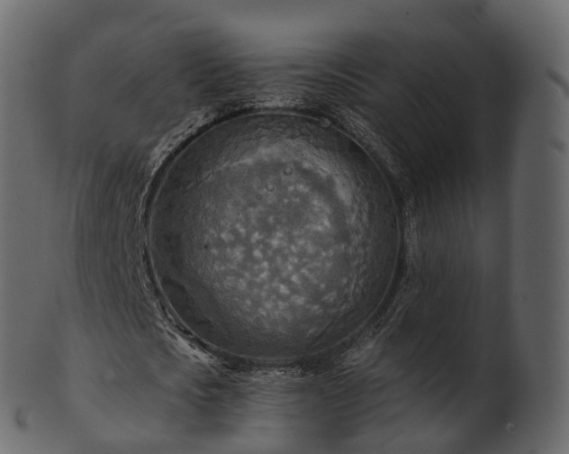 X0000101120721200807031802
