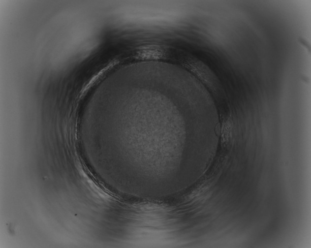 X0000101120722200807031802