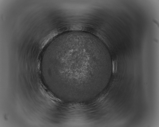 X0000101120723200807031803