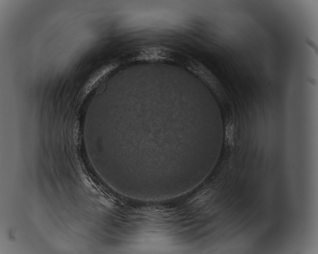 X0000101120724200807031803