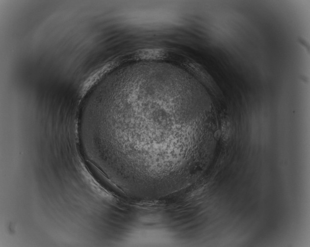 X0000101120725200807031803