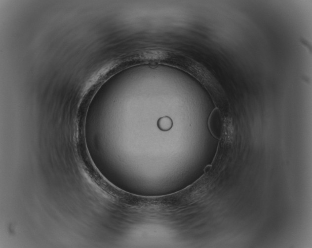 X0000101120726200807031803