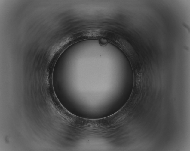X0000101120727200807031803