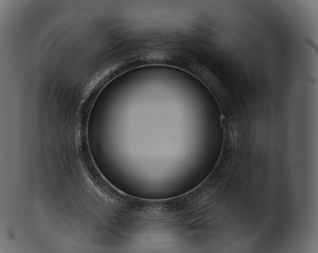 X0000101120728200807031803