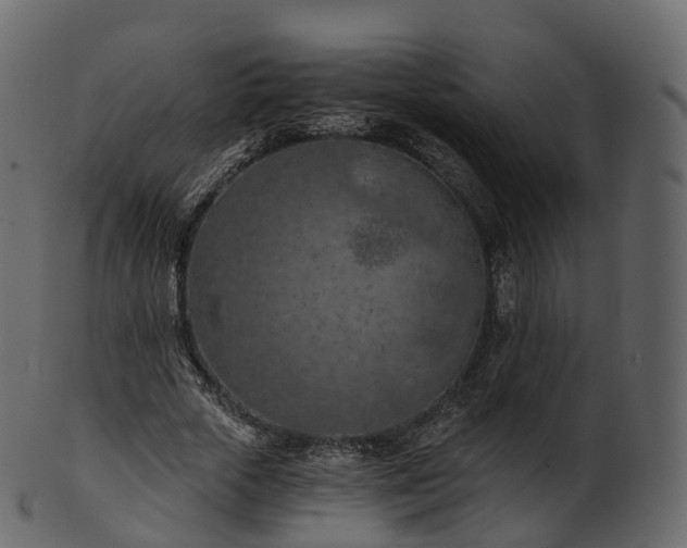 X0000101120729200807031803