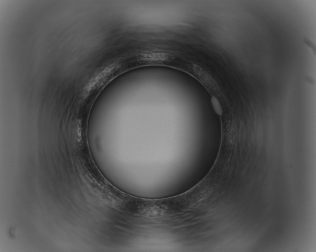 X0000101120731200807031803