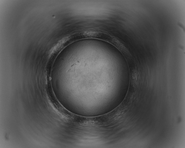 X0000101120734200807031803