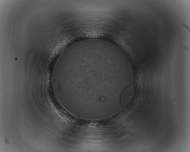 X0000101120736200807031803