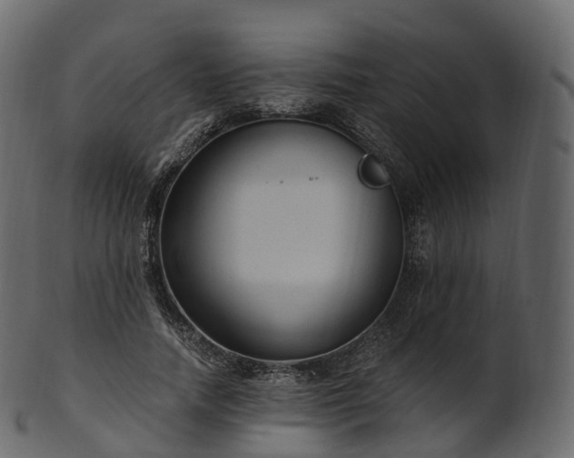 X0000101120738200807031803