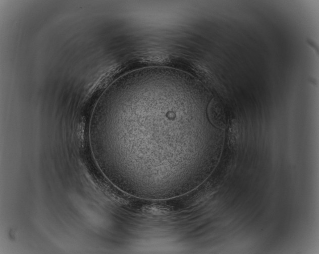 X0000101120739200807031803