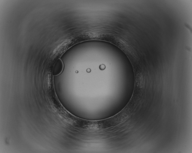 X0000101120740200807031803