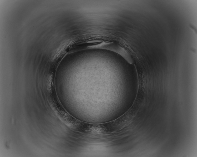 X0000101120742200807031803