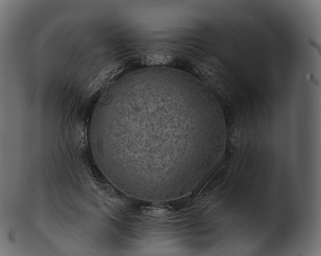 X0000101120743200807031803